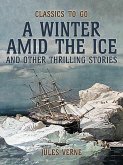 Amid The Ice And Other Thrilling Stories (eBook, ePUB)