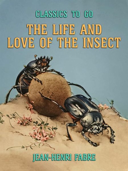 The Life and Love of the Insect (eBook, ePUB)