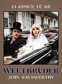 Weltbrüder (eBook, ePUB)