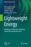 Lightweight Energy (eBook, PDF)