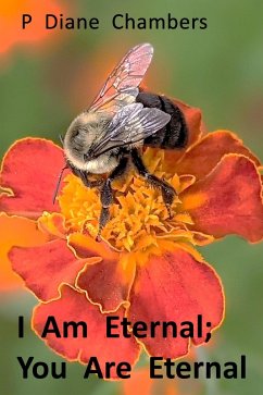 Cover I Am Eternal; You Are Eternal (eBook, ePUB)