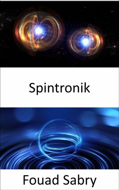 Spintronik (eBook, ePUB) - Sabry, Fouad