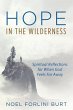 Hope in the Wilderness (eBook, ePUB) - Bild 1