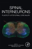 Spinal Interneurons (eBook, ePUB)