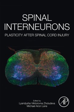 Cover Spinal Interneurons (eBook, ePUB)
