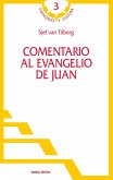 Comentario al evangelio de Juan (eBook, PDF)