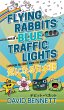 Flying Rabbits and Blue Traffic Lights... - Bild 1