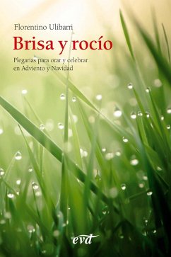 Brisa y rocío (eBook, ePUB) - Ulibarri Fernández, Florentino