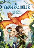 Im Schatten des roten Drachen / Der Zauberschüler Bd.3 (eBook, ePUB)