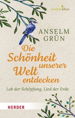 Die Schönheit unserer Welt entdecken (eBook, ePUB) - Grün, Anselm