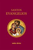 Santos Evangelios (eBook, ePUB)