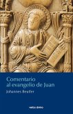 Comentario al evangelio de Juan (eBook, ePUB)