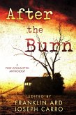 After the Burn (eBook, ePUB)