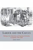 Labour and the Caucus: Working-Class Radicalism and Organised Liberalism in England, 1868-1888