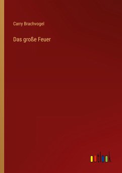 Das große Feuer - Brachvogel, Carry