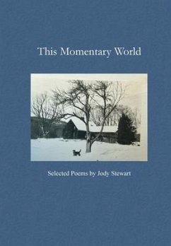 This Momentary World - Stewart, Jody