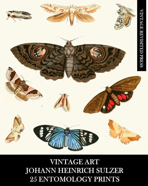 Vintage Art Vintage Art