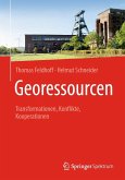 Georessourcen (eBook, PDF)