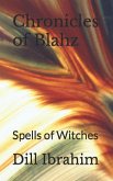 Chronicles of Blahz: Spells of Witches