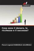 Cosa sono il denaro, la ricchezza e il successo?