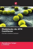 Modelação de AFM Cantilever