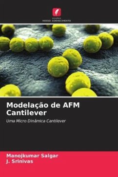Modelação de AFM Cantilever - Salgar, Manojkumar;Srinivas, J.