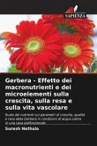 Gerbera - Effetto dei macronutrienti e dei microelementi sulla crescita, sulla resa e sulla vita vascolare