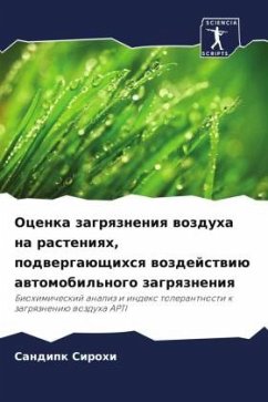 Ocenka zagrqzneniq wozduha na rasteniqh, podwergaüschihsq wozdejstwiü awtomobil'nogo zagrqzneniq - Sirohi, Sandipk