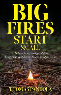 Big Fires Start Small - Pandola, Thomas