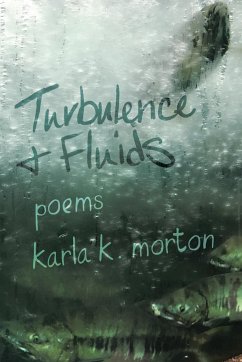 Turbulence & Fluids - Morton, Karla K.