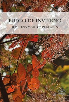 Cover Fuego de Invierno