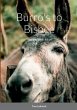 Burro's to Bisbee - Bild 1