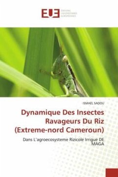 Dynamique Des Insectes Ravageurs Du Riz (Extreme-nord Cameroun) - Sadou, Ismael