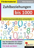 Zahlbeziehungen bis 1000 (eBook, PDF)