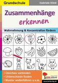 Zusammenhänge erkennen / Grundschule (eBook, PDF)