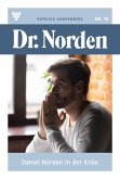 Daniel Norden in der Krise (eBook, ePUB)