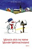 Wünsch dich ins kleine Wunder-Weihnachtsland Band 3 (eBook, ePUB)