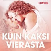 Kuin kaksi vierasta – eroottinen novelli (MP3-Download)