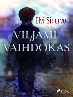 Cover Viljami Vaihdokas (eBook, ePUB)