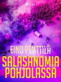 Salasanomia Pohjolassa (eBook, ePUB)