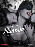 Naamio (eBook, ePUB)