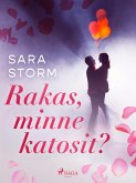 Rakas, minne katosit? (eBook, ePUB)
