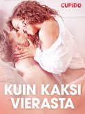 Kuin kaksi vierasta - eroottinen novelli (eBook, ePUB)