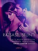 Ratsastustunti ja 15 muuta eroottista novellia yhteistyössä Erika Lustin kanssa (eBook, ePUB)