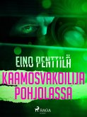 Kaamosvakoilija Pohjolassa (eBook, ePUB)