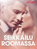 Seikkailu Roomassa - eroottinen novelli (eBook, ePUB)