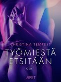 Työmiestä etsitään Osa 1 - eroottinen novelli (eBook, ePUB) Työmiestä etsitään Osa 1 - eroottinen novelli (eBook, ePUB)