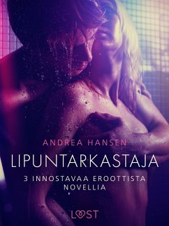 Cover Lipuntarkastaja - 3 innostavaa eroottista novellia (eBook, ePUB)