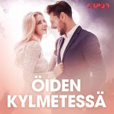 Öiden kylmetessä – eroottinen novelli (MP3-Download)