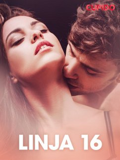 Linja 16 - eroottinen novelli (eBook, ePUB) - Cupido